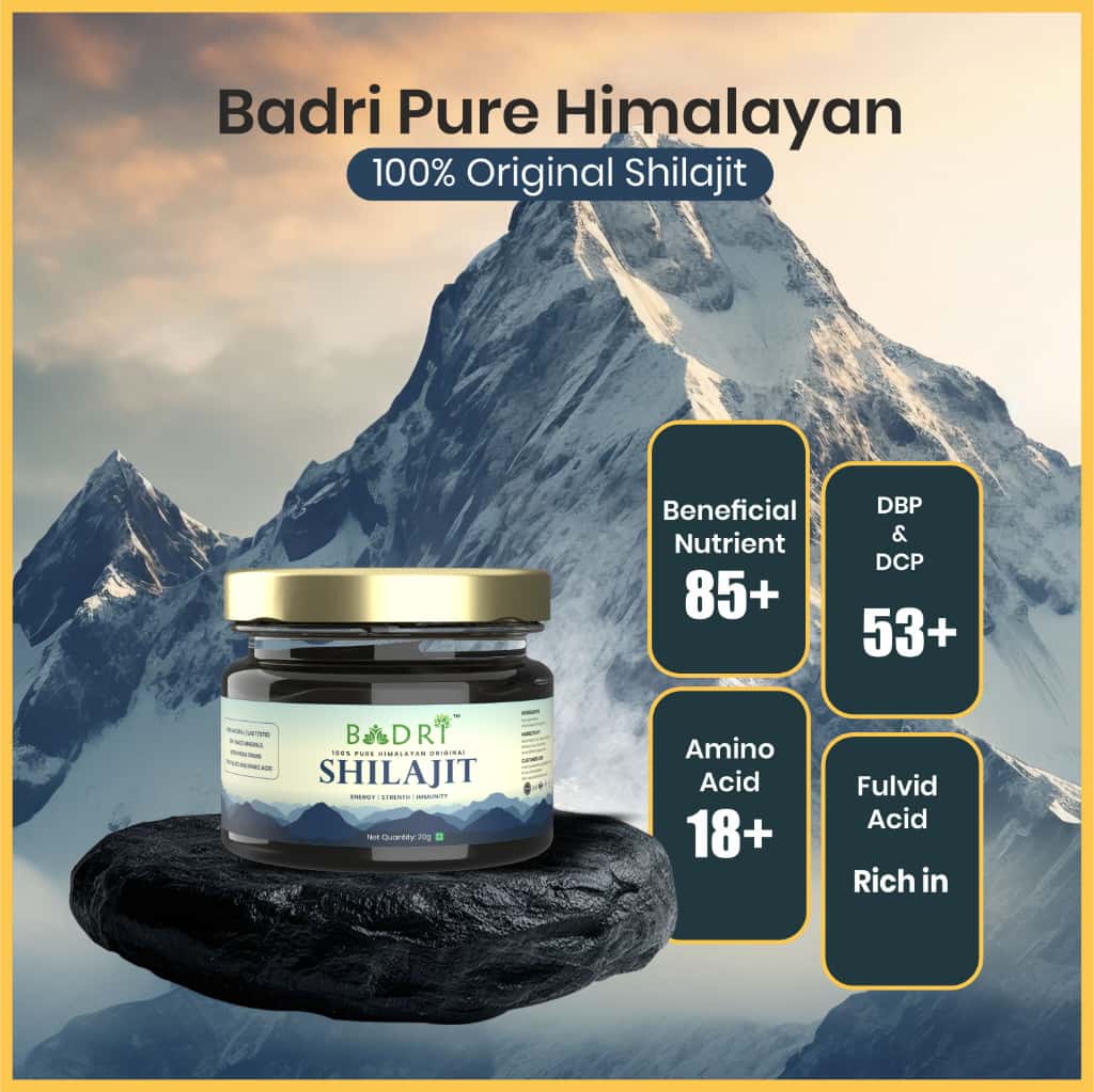 Badri Healthcare Pure Himalayan Shilajit Resin